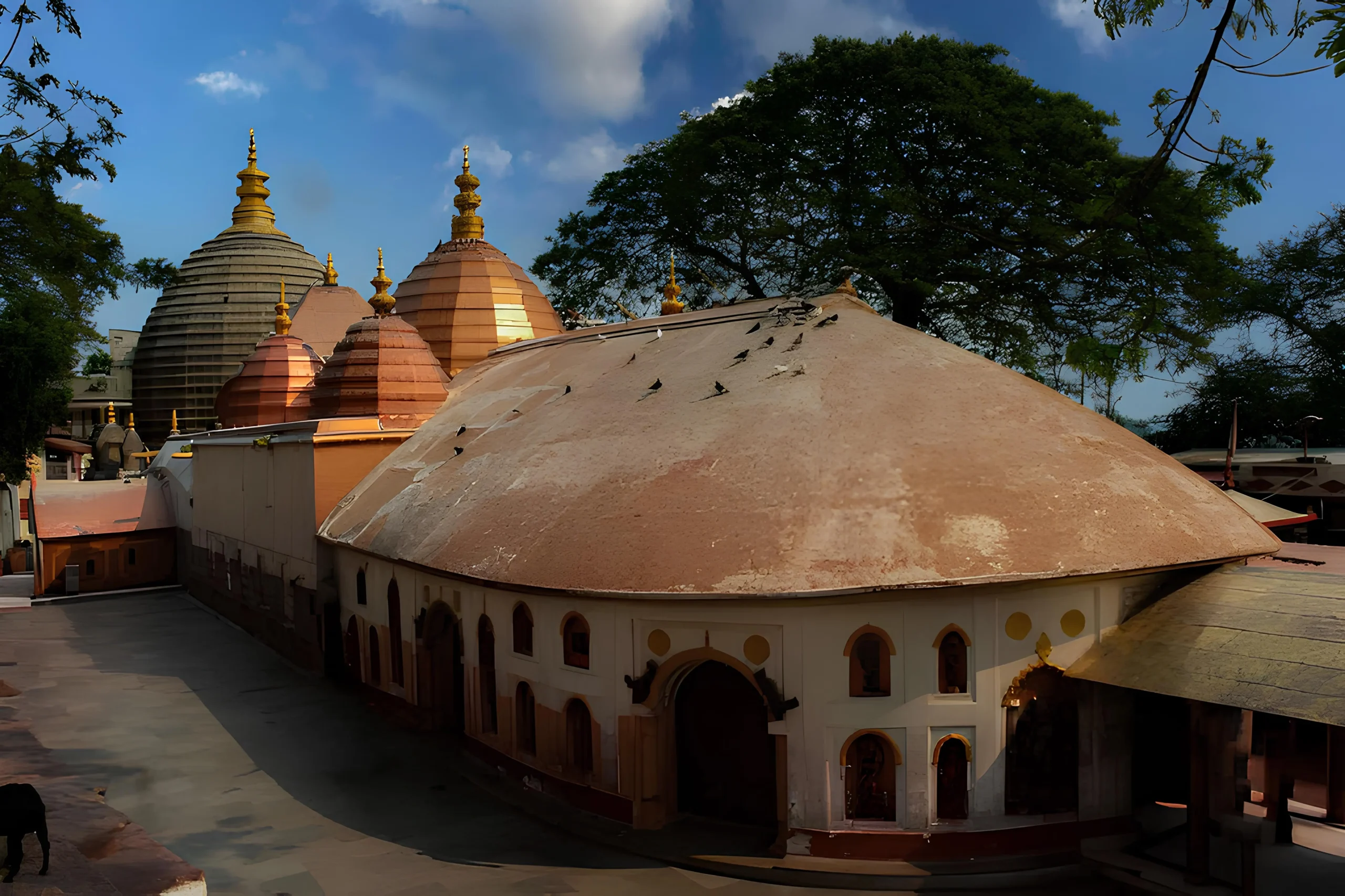 🌏 Assam • 5 Nights / 6 Days — Guwahati → Pobitora → Kaziranga → Nameri 🦏🌿