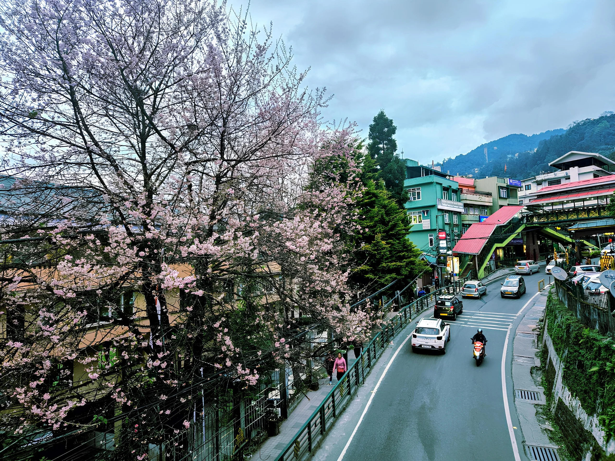 🌄 Gangtok & Darjeeling — 4 Nights / 5 Days Tour with Traveexo Two Himalayan Jewels — Sikkim’s Serenity & Bengal’s British Charm!
